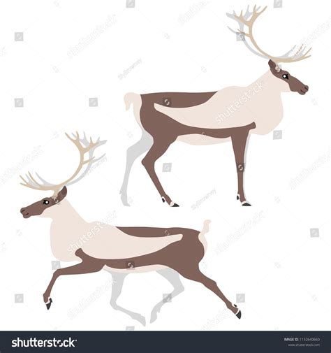 Vector Illustration Standing Running Caribou Isolated Vector De Stock