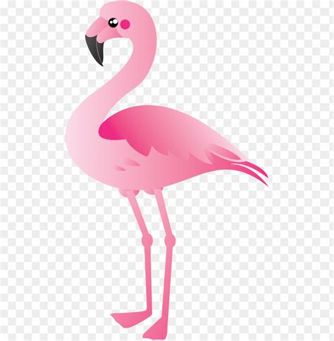 Flamingo Free Clipart