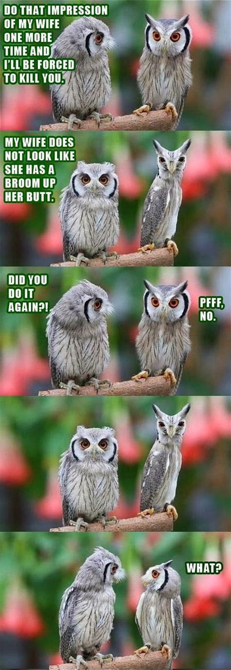 It's millions of small things. 30 Funny animal captions - part 21 (30 pics) | Amazing ...