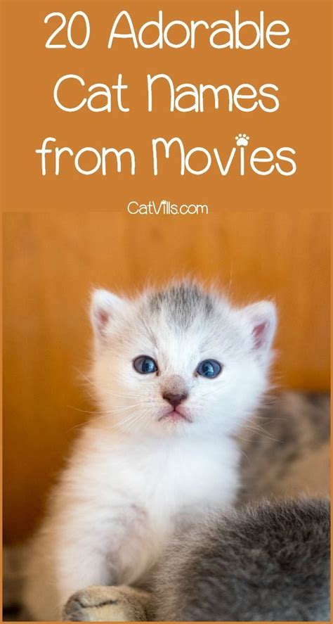 20 Sweet Cat Names From Movies To Inspire You Kitten Names Unique Kitten Names Kitten Names Girl