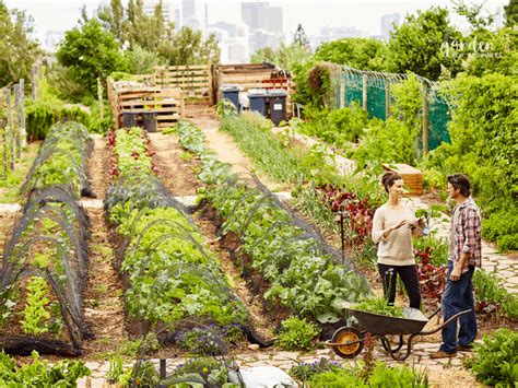 How To Plan A Vegetable Garden Layout As A Beginner Gardener Garden