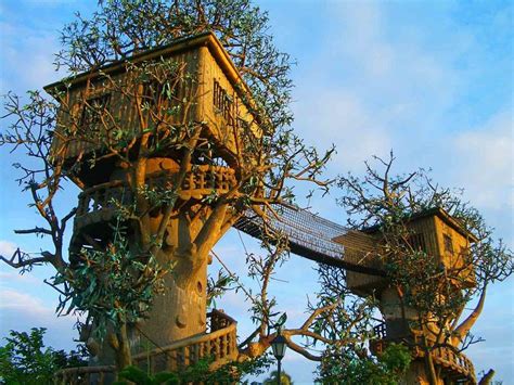 Treehouse Wallpapers Top Free Treehouse Backgrounds Wallpaperaccess