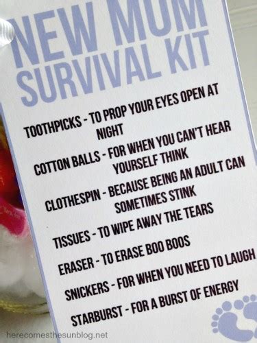 New Mom Survival Kit Gift Kelly Leigh Creates