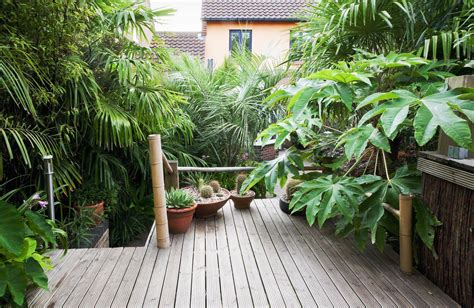 24 Exotic Tropical Garden Ideas You Must Look Sharonsable