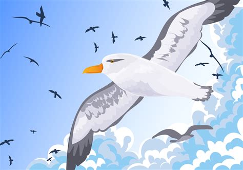 Albatross Bird Flying Into The Sky Vector 159321 Vector Art At Vecteezy