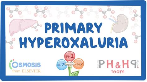 Primary Hyperoxalurias Causes Symptoms Diagnosis Treatment