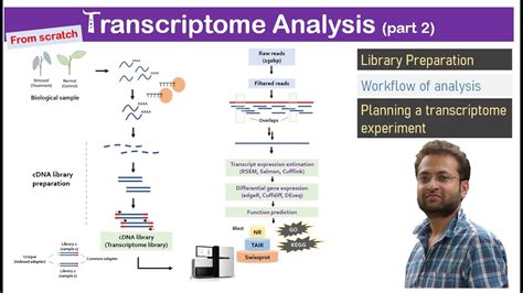 Transcriptome Analysis Learn Library Preparation And Data Analysis From Scratch Youtube