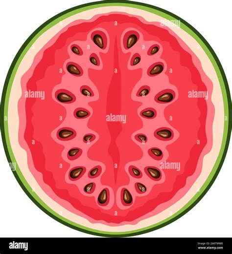 Vector Illustration Of A Watermelon Half Isolated On A White Background