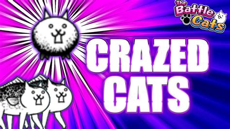 When Should You Get Crazed Cats The Battle Cats Youtube
