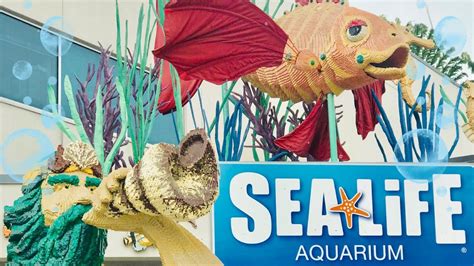 Sea Life Aquarium At Legoland Youtube