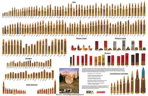 Poster Of Standard Firearm Cartridges Ammunition Hand Guns Guns And