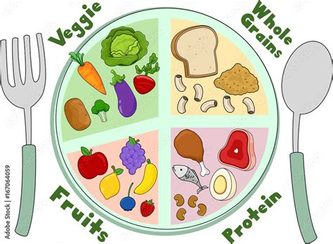 Food Healthy Meal Plate Stock Vector Adobe Stock
