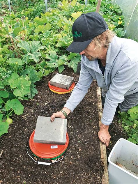 Diy Build An Underground Worm Farm Suitable For A Cold Climate