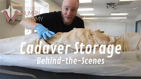 Behind The Scenes Look At How Human Cadavers Are Stored Normally A