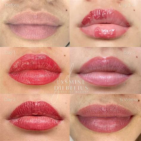 Editable Lip Blushing Lip Blush Manual Ombre Lips Lip Neutralization Cosmetic Tattoo Pmu