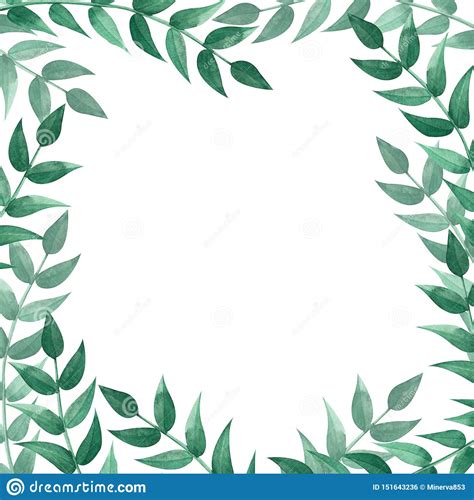 Square Frame With Green Leaves Watercolor Illustration Stock