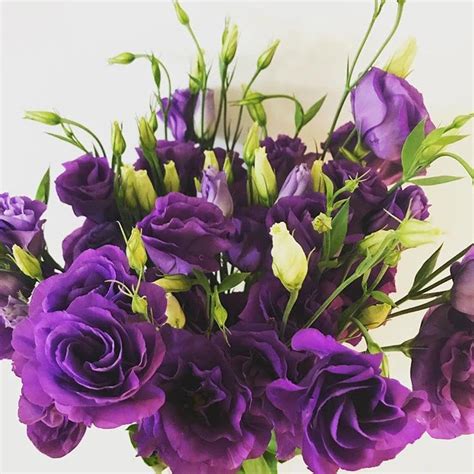 Dark Purple Lisianthus Diy Wedding Flowers Flower Moxie
