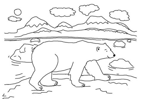 Arctic Animals Polar Bear Walking Around Coloring Page Kids Play Color