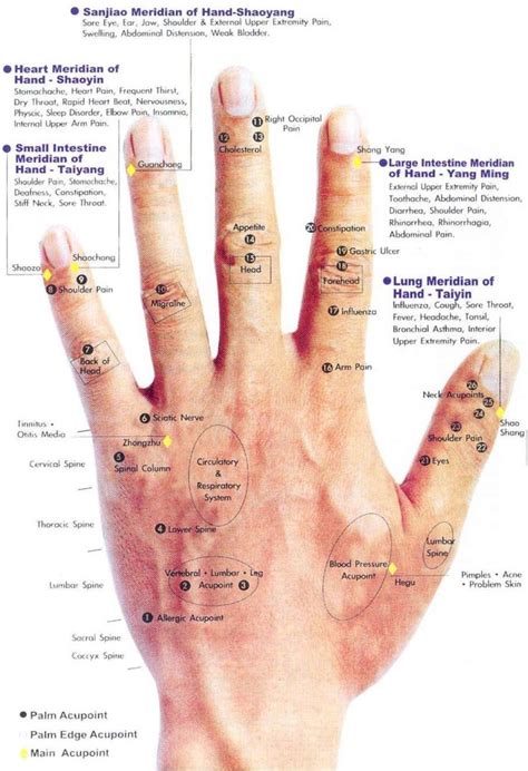 Hand Acupressure Points Chart