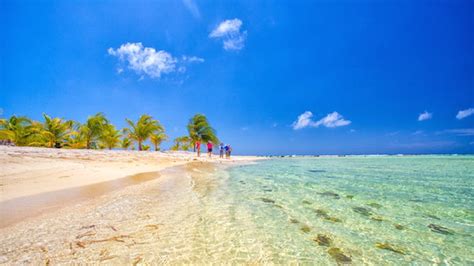 Top 5 Best Beaches In Belize Island Expeditions