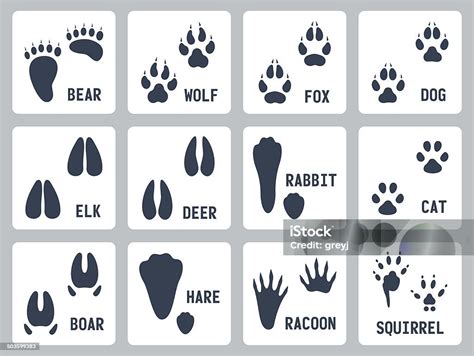 Animal Tracks Vector Icons Set Stock Illustration Download Image Now