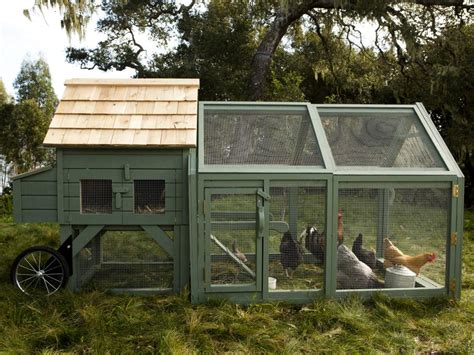 If you're planning to get just a few chickens, this will suit them just fine! Chicken Coop Designs for Backyard Chickens | HGTV