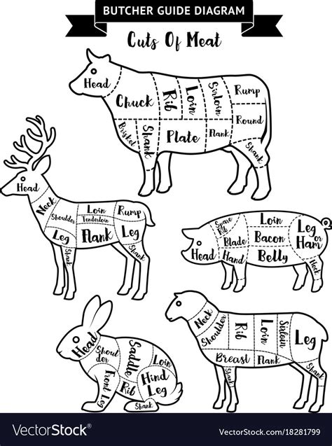 Butcher Guide Cuts Of Meat Diagram Royalty Free Vector Image