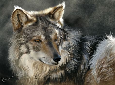 Wolves Painting Art Glance Animals Wolf Wallpaper 1920x1428 70887
