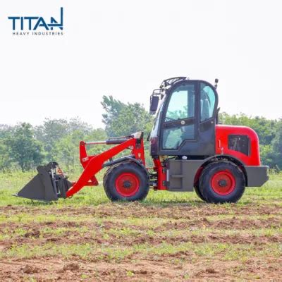 New TITAN Nude In Container 4700 1600 2550 China Dingo Loader With TUV