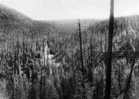 Tunguska Event Was A Mysterious Blast Caused By Aliens 7news
