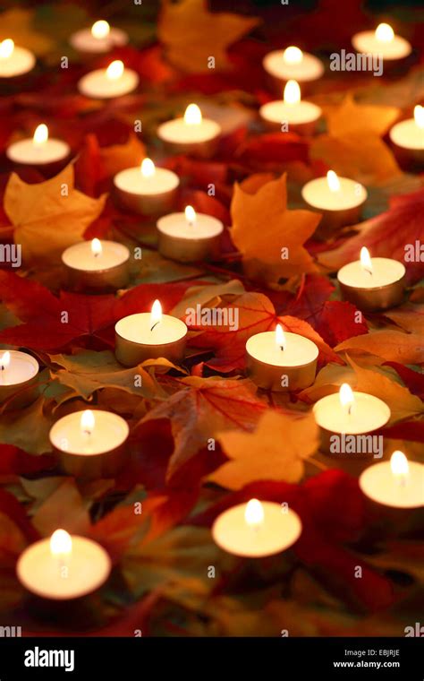 Burning Tea Candles In The Autumn Foliage Stock Photo Alamy