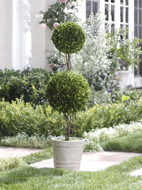 Zodax Double Ball Potted Boxwood Topiary CH 2290 384 40 Boxwood
