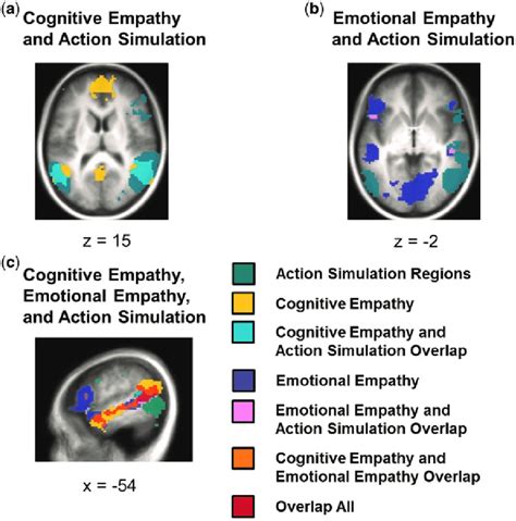 A The Conjunction Of Cognitive Empathy And The Action Simulation