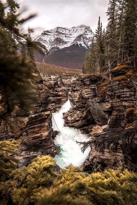 Natural Framing At Athabasca Falls In Jasper Alberta 13652048