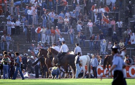 Prickly patroller | fortnite outfit/skin. Liverpool's Mark Lawrenson on Heysel: "Someone said ...