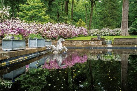In gardens, ornamental plants are often grown for their flowers, foliage, or overall appearance; The Challenges of Preserving Historic Gardens ...