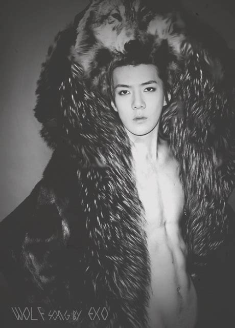 exo wolf either some really good photo shop or daaam sehun is hooooooooooooot hot korean guys