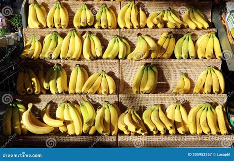 Bananas On A Display Shelf In A Fruit And Vegetable Store Stock Image Image Of Freshness