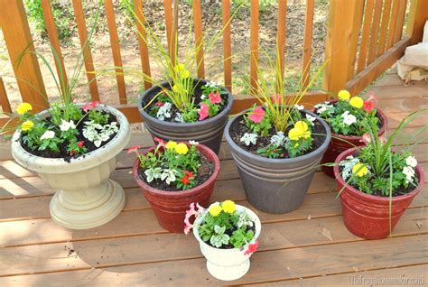 Color Filled Flower Pots Sprucing Up The Outdoors For