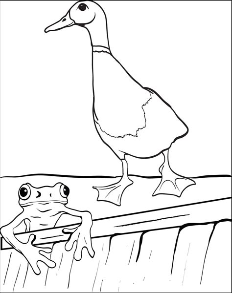 Printable Duck And Frog Coloring Page For Kids Supplyme