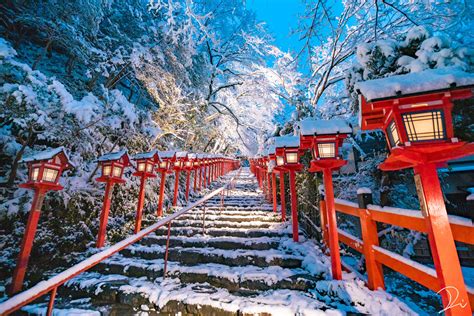 Japan Winter Asian Architecture Snow Steps Trees Lantern Low Angle