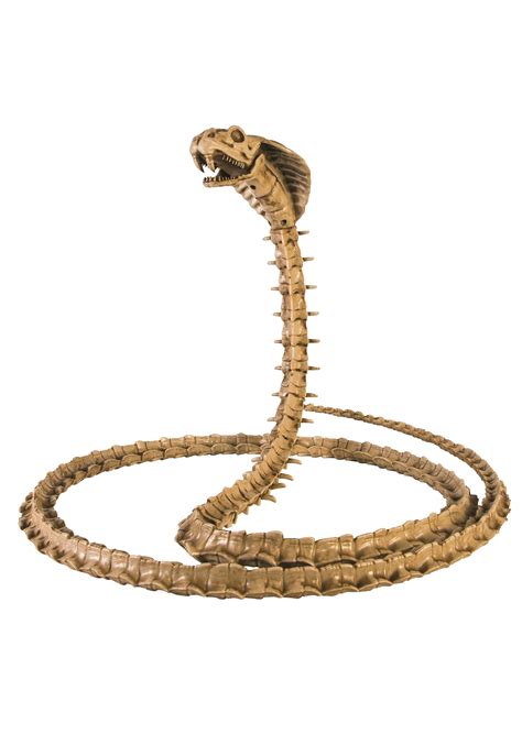 King Cobra Png Background Png Play