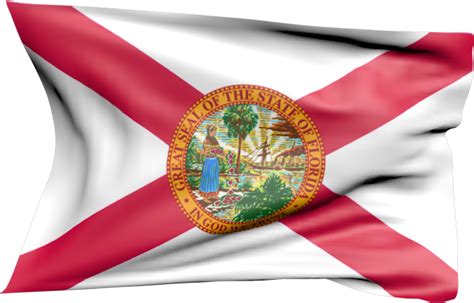 Florida Flagge Flagge Von Florida Vektor Country Flags