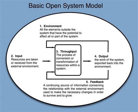 Basic Open System Model Right To Joy