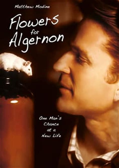 You might also like this movies. Daniel Keyes' Flowers For Algernon: Summary & Analysis ...