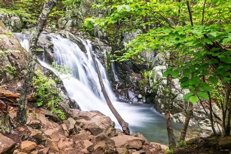 The Best Shenandoah National Park Waterfall Hikes For All Levels