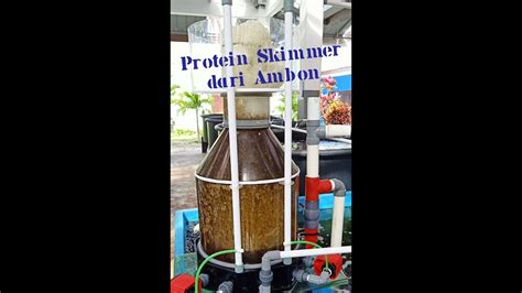 Check spelling or type a new query. Setting Protein Skimmer DIY dari Ambon - YouTube