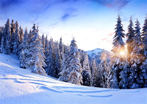 Картинка горы, зима, снег, деревья, сугробы, закат, пейзаж на рабочий ...