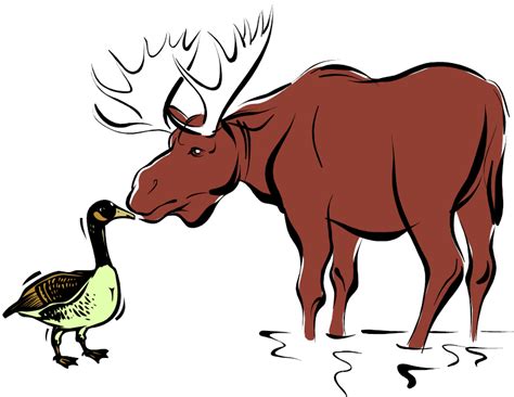 Goose Kissing A Moose Goose Tattoo Moose Moose Art