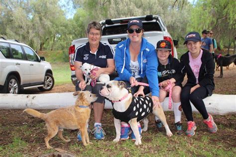 Participating Pooches The Cobar Weekly